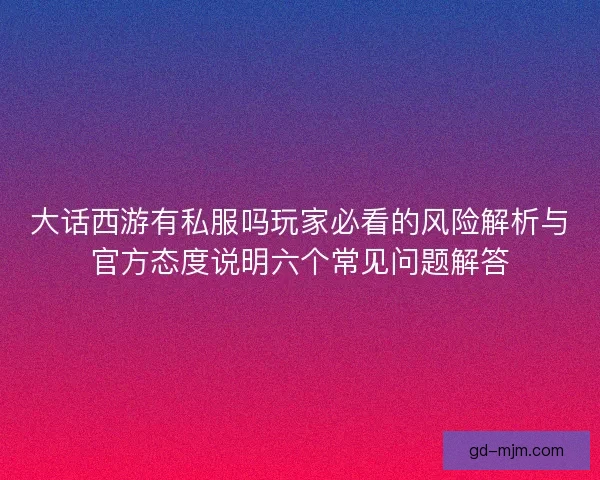 大话西游有私服吗玩家必看的风险解析与官方态度说明六个常见问题解答