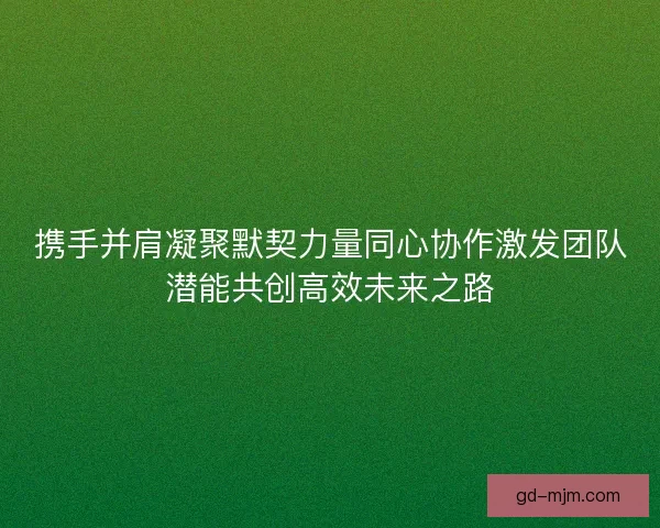 携手并肩凝聚默契力量同心协作激发团队潜能共创高效未来之路